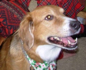 Abbey talking A Conversation with Abbey