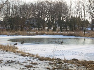 Whispering Pond - Whispering Winds in background