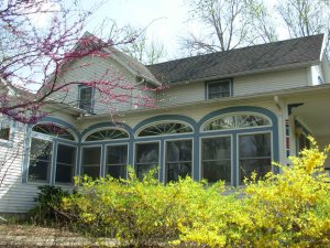 Forsythia and Redbud outside the Sun Room