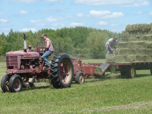 Obviously, that's not me on the tractor - but that's the kind of tractor, baler, and hay wagon we had.