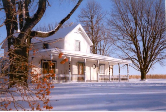 House-Winter Berries