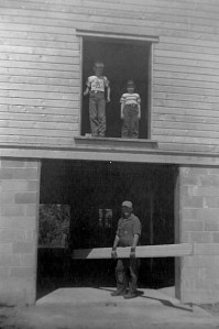 Building the new barn about 1955.