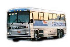greyhound bus