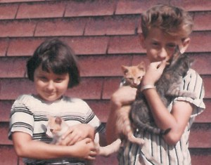 Danny Marrian Kittens