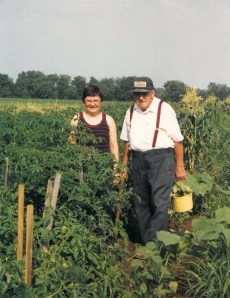 Picking some vegetables for me to take home to Chicago