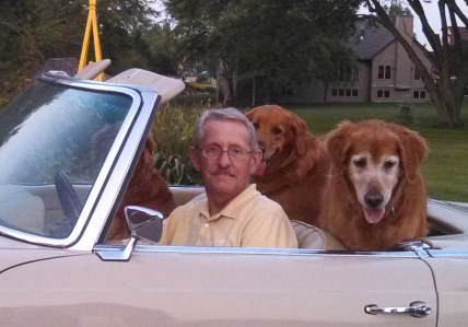 Dan and the dogs out for a ride. Holly on right. Sadie in background.