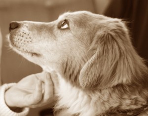 Abbey looking up colorized 2