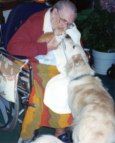 Megabyte and Selma welcoming a new kitten into our home.