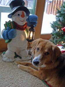 Abbey Snowman and Tree 2