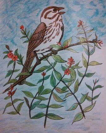 "Sparrow and Berries" as colored by Anna.