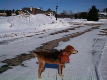 2014 Abbey in snow 2