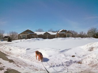 2014 Abbey in Snow 3