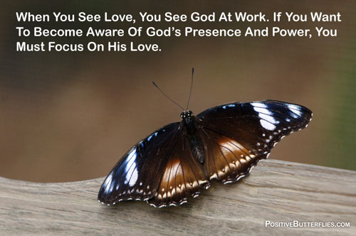 Gods presence butterfly
