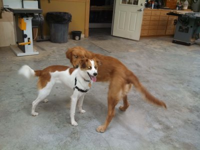 Floey playing with cousin Lucy in Uncle Dan's carpentry shop.