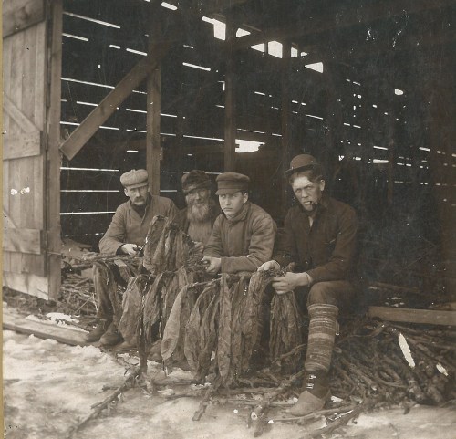 My family history with raising tobacco goes way back. This picture shows my great uncle Fletcher (2nd from right) taking a break from stripping tobacco with his buddies.