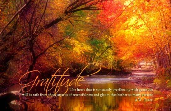 Gratitude fall scenery
