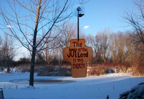 Joy Cross and snowy pond