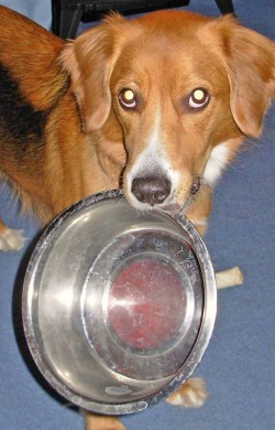 Abbey Hungry 05-12-08