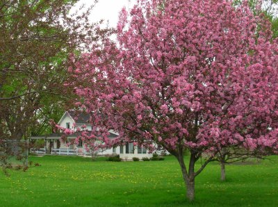 The merry, merry month of May