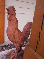 Peter Rooster against condo