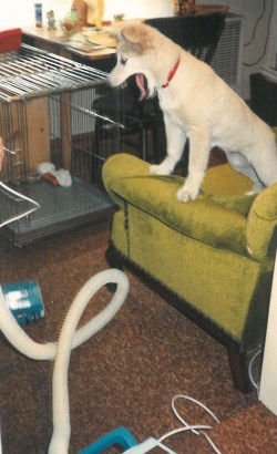 Nothing ever frustrated Megabyte more than the monstrous vacuum cleaner!