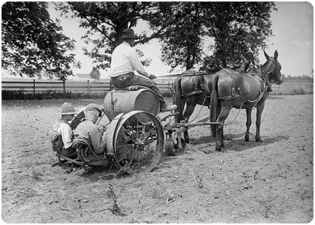 tobacco planter w horses
