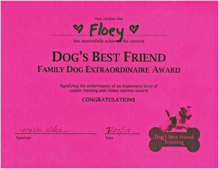 Floey's award for successfully completing the Intermediate Class.