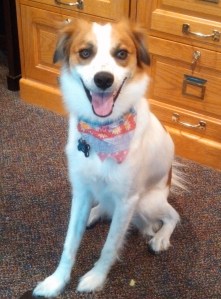 Floey sitting smiling 07-06-15