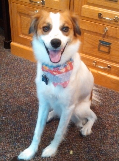 Floey sitting smiling 07-06-15
