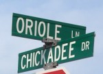 Oriole and Chickadee street signs