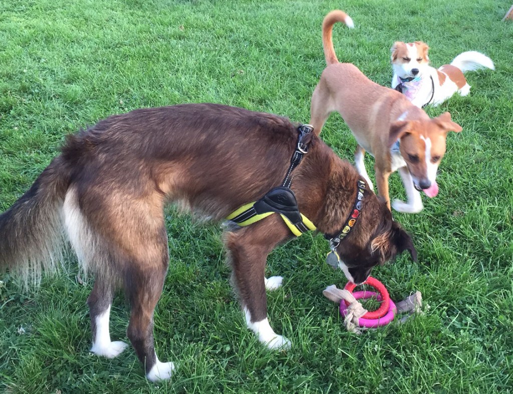 Playtime… Big Time!