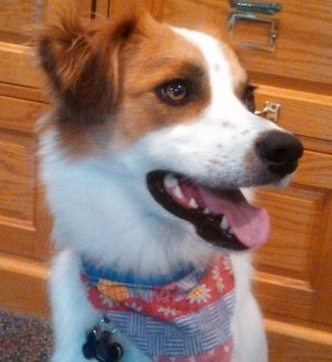 Floey is always happy to see me - or anyone else.