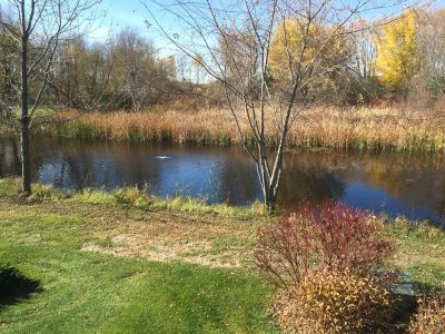 2015-10-26 Stone Meadows Pond