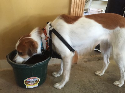 Floey drinking in shop