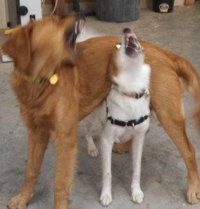 Floey - Lucy talking in shop - cropped