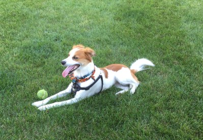 Floey - lying with ball 10-11-15