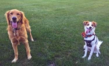 Lucy and Floey smiling big - adj 10-11-15