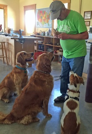 Treat Time in Shop 10-11-15