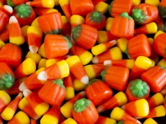 candy corn and pumpkins