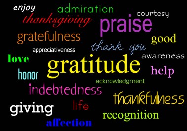 Gratitude words
