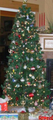 Christmas Tree in condo