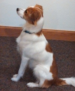 Floey sitting - profile cropped