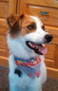 Floey smiling profile