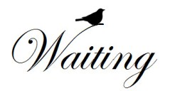 Waiting-Bird cropped