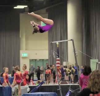 12801203_1650536338545336_5131548603739046669_n