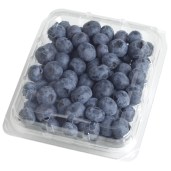blueberry6oz