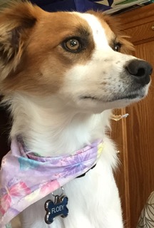 Floey - thoughtful face