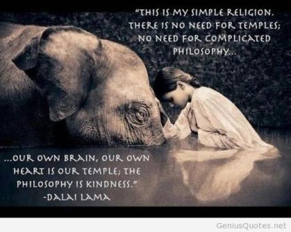 this-is-my-simple-religion-there-is-need-for-temples-no-need-for-complicated-philosophy-our-own-brain-our-own-heart-is-our-temple-the-philosophy-is-kindness-dalai-lama