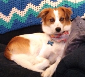 Floey looking at camera