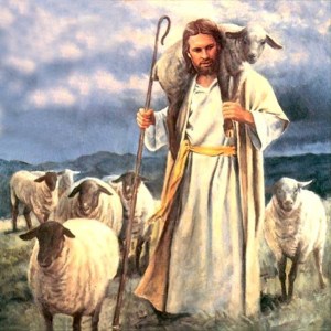 Jesus_Sheep-01
